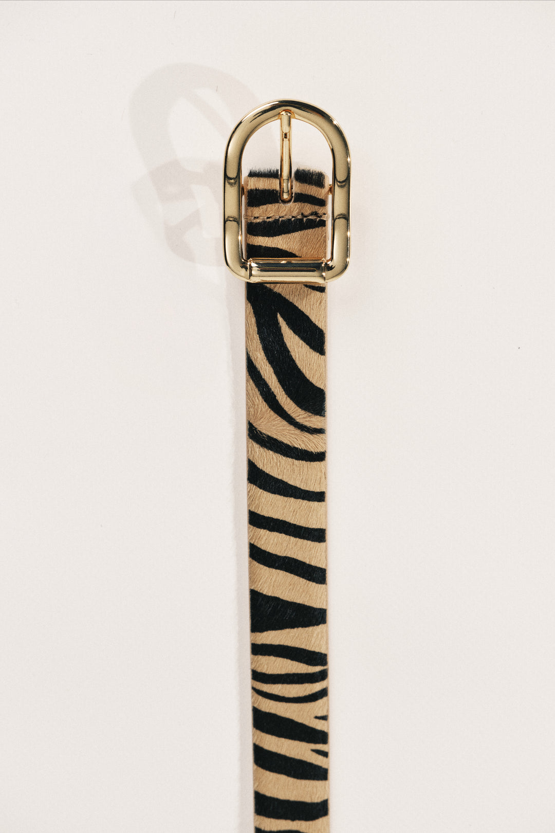 Mija Zebra
