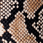 Desert Python