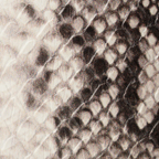 Beige Snakeskin