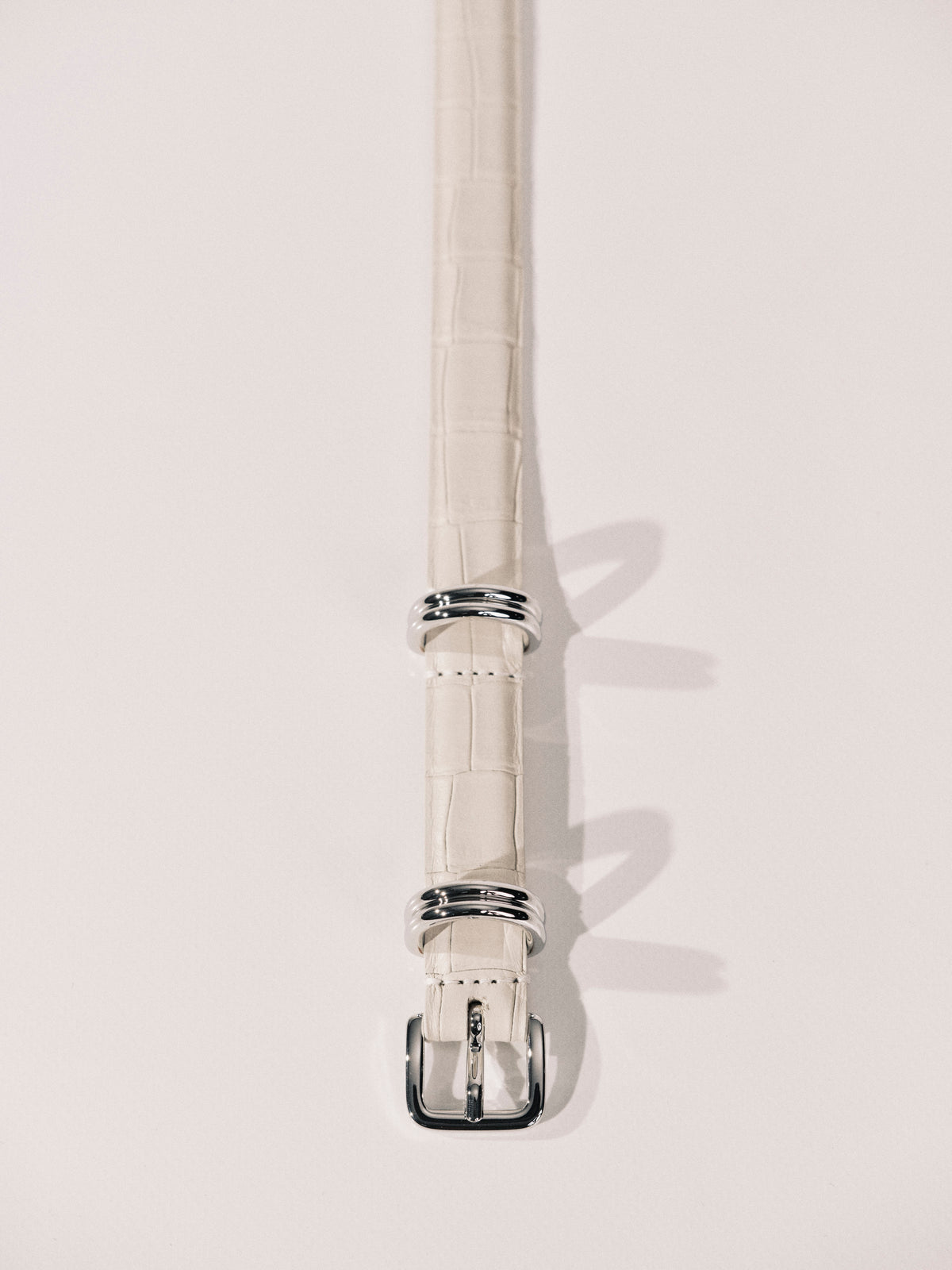 Constance Alligator Ivory Silver