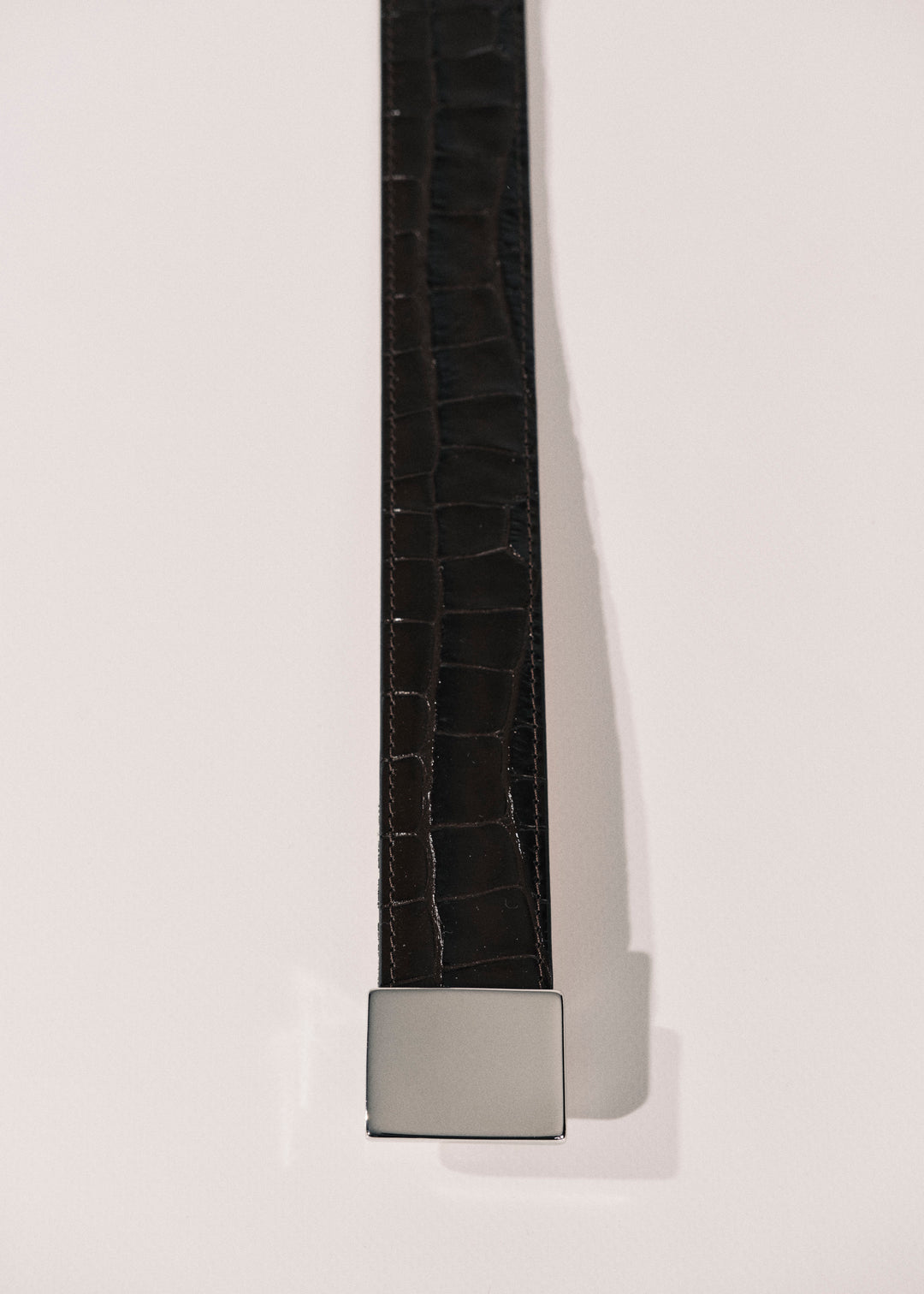 Brandt Dark Brown Alligator Silver
