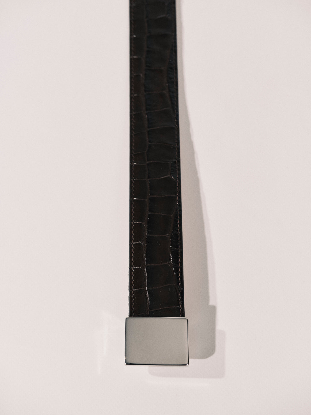 Brandt Dark Brown Alligator Silver