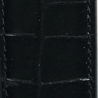 Black Alligator