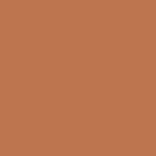 Caramel Suede
