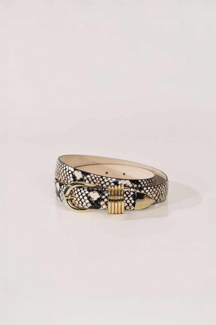 Hollyhock Snake Desert Python	Gold