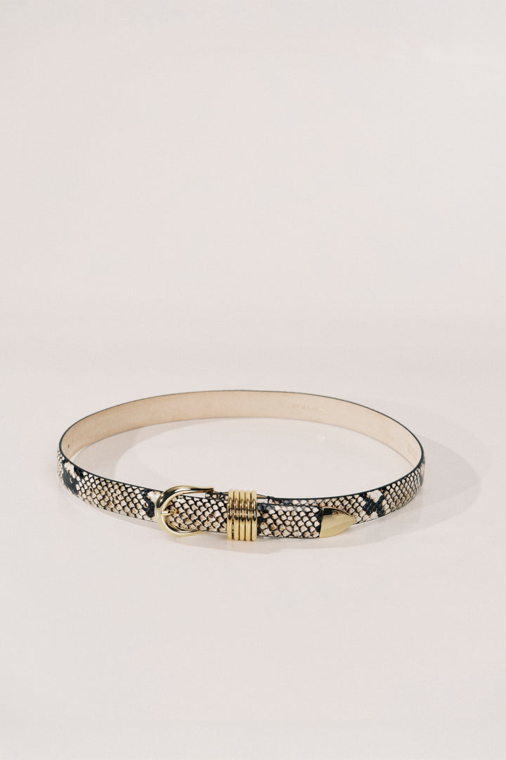 Hollyhock Snake Desert Python	Gold