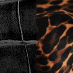 Jaguar and croco