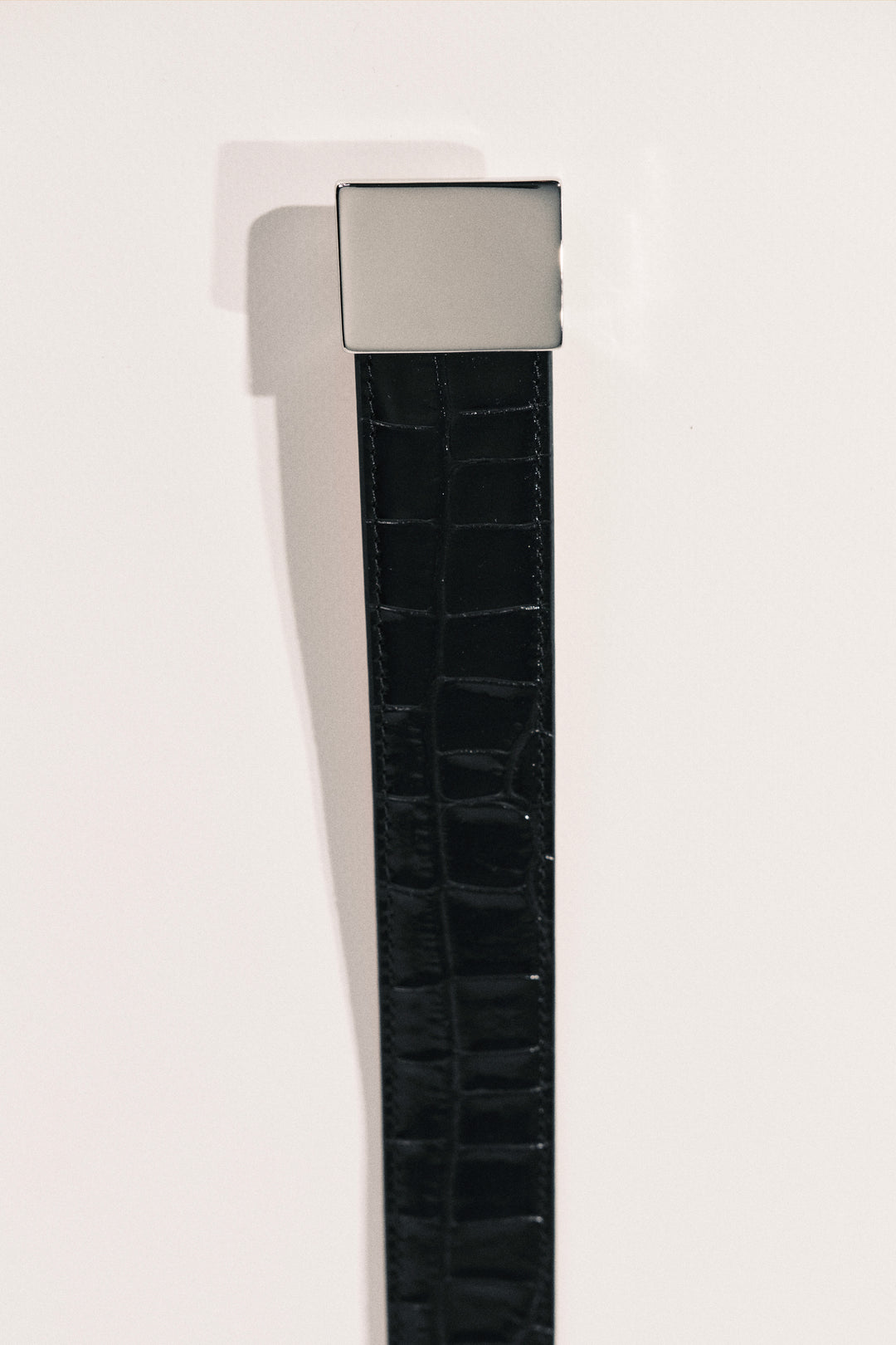 Brandt Black Alligator Silver