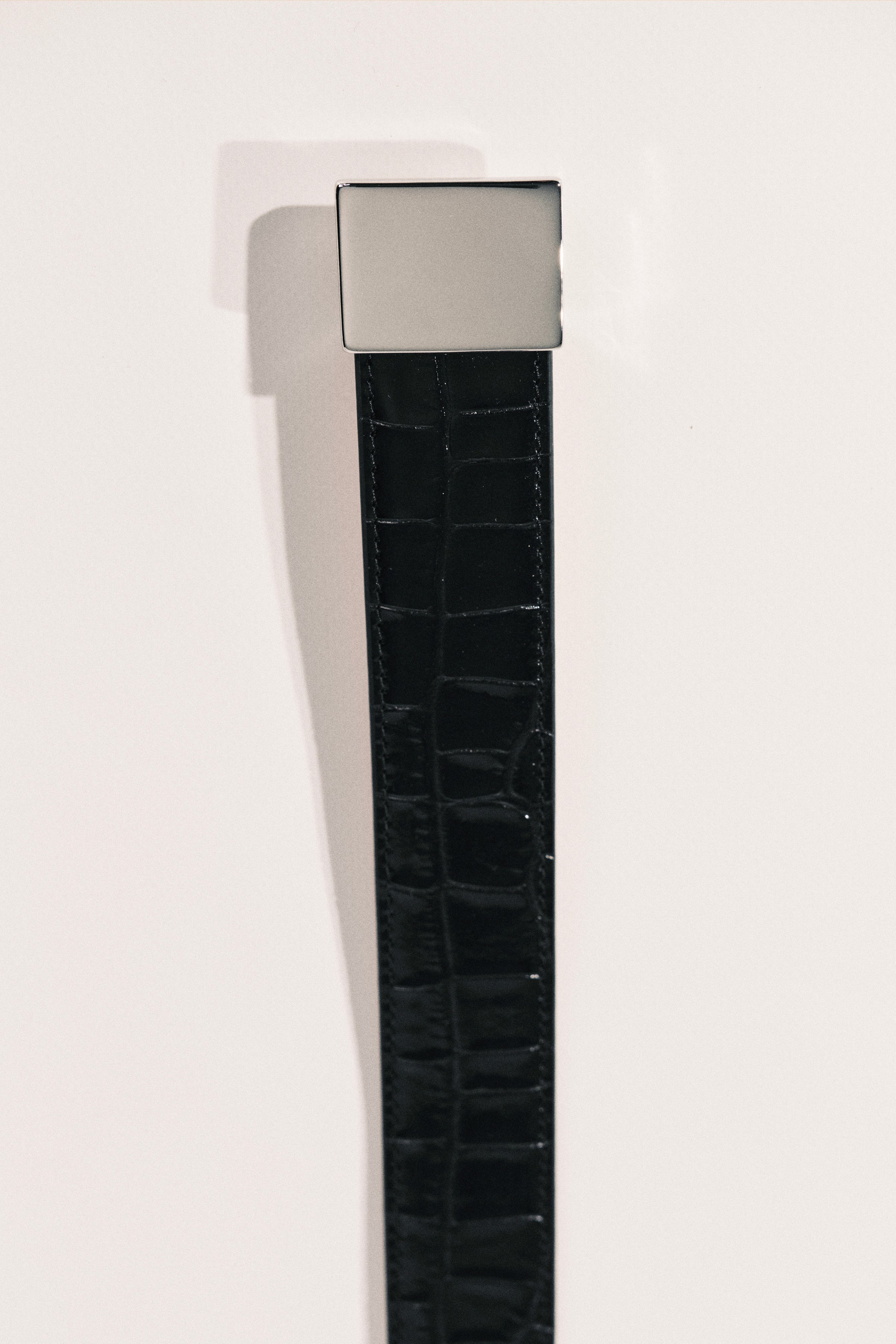 Brandt Black Alligator Silver