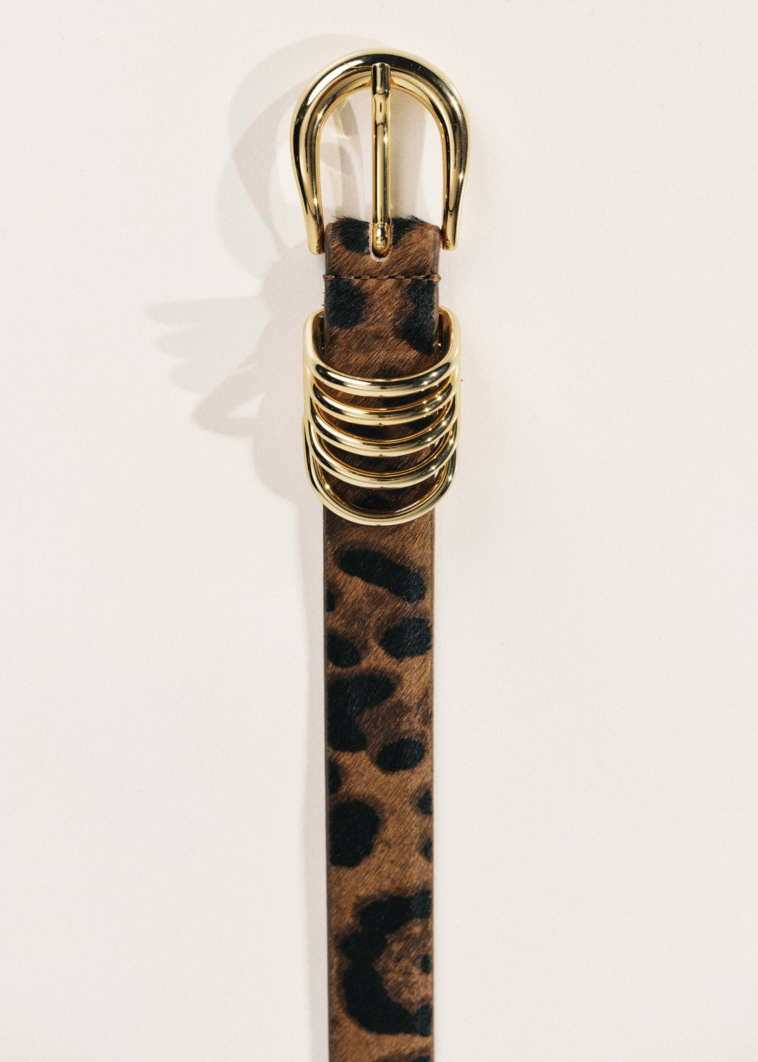 Close up of a Dark Jaguar Two Tone Belt with gold hardware, with 5 metal rings.
