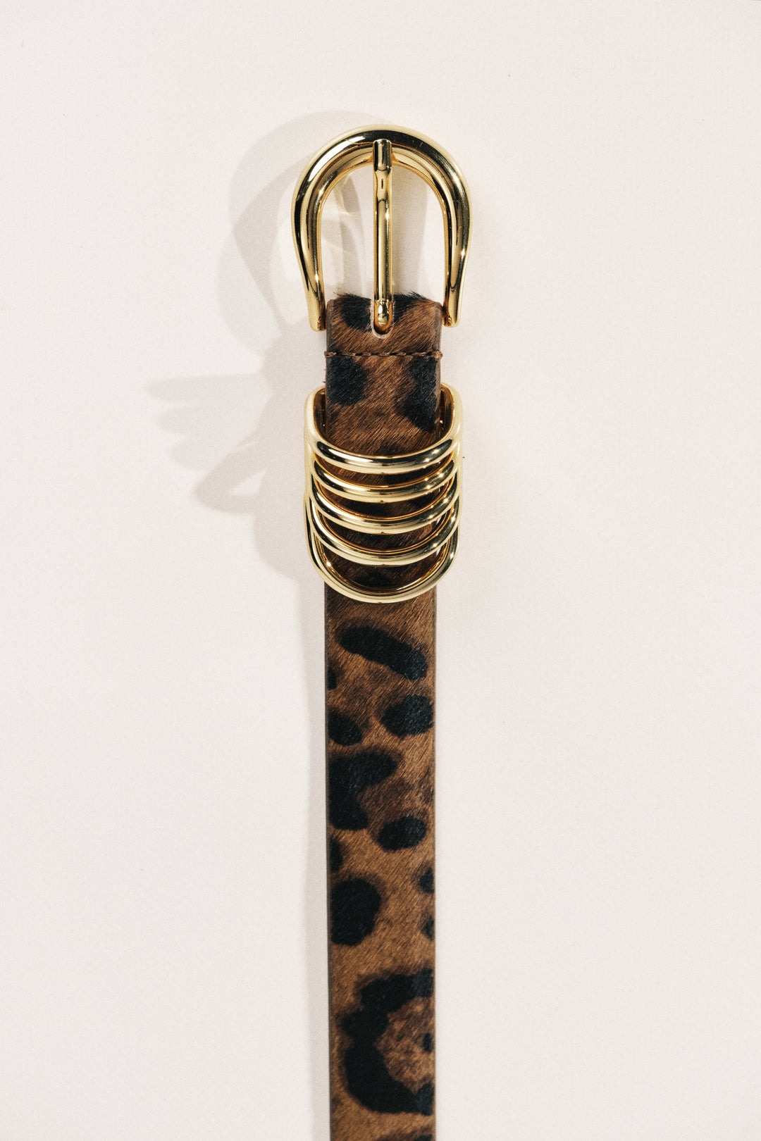 Close up of a Dark Jaguar Two Tone Belt with gold hardware, with 5 metal rings.