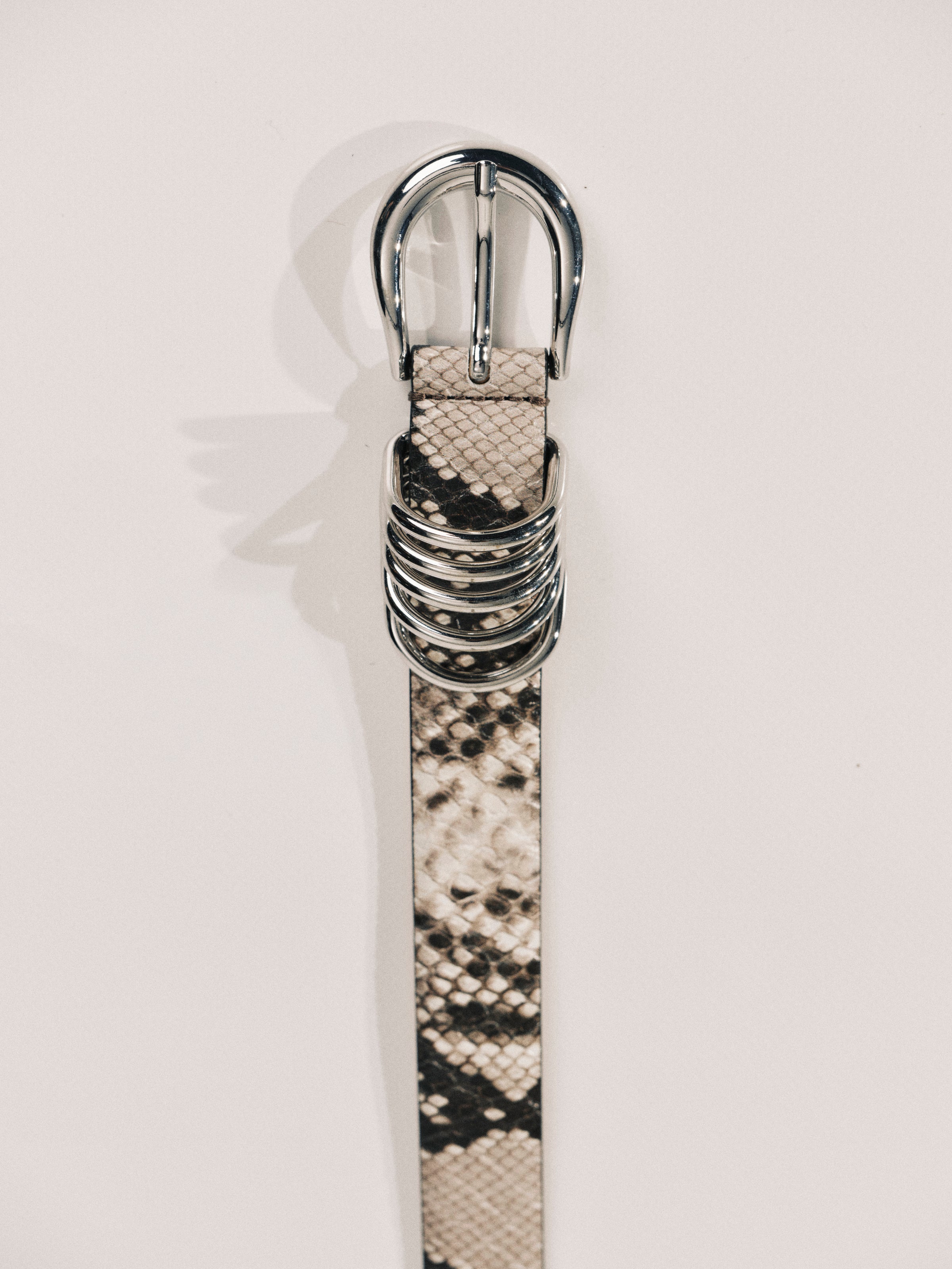 Hollyhock Two Toned Snake & Black Croco