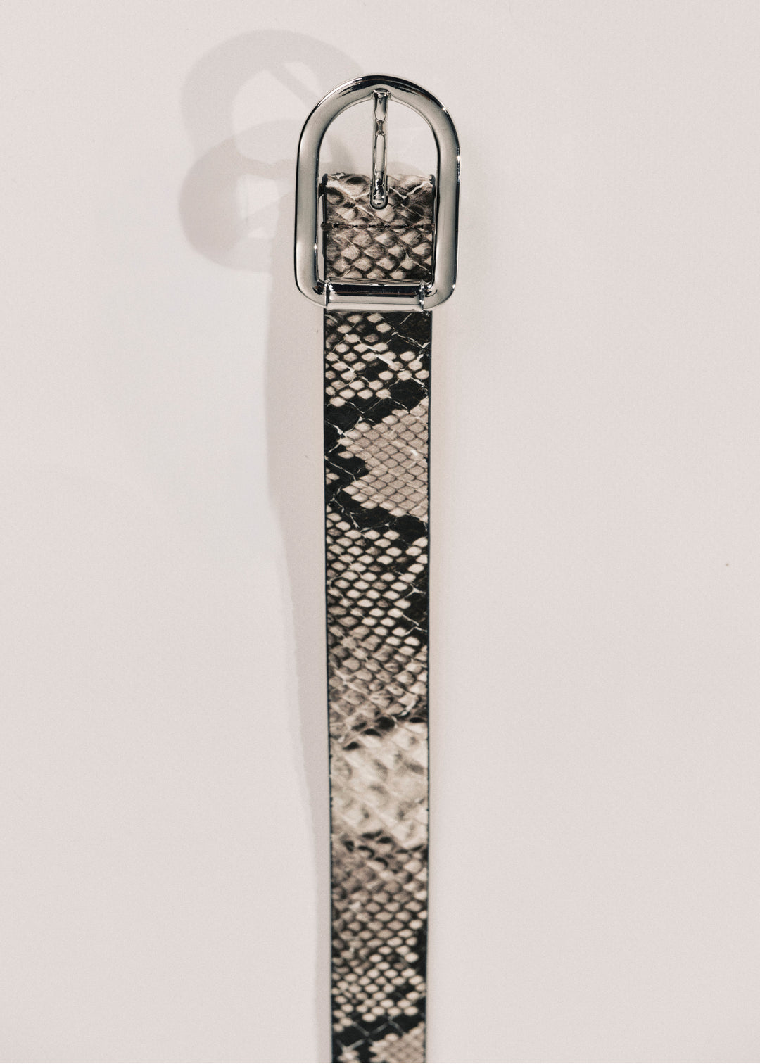 Close up of a ivory and beige snakeskin belt with silver hardware.