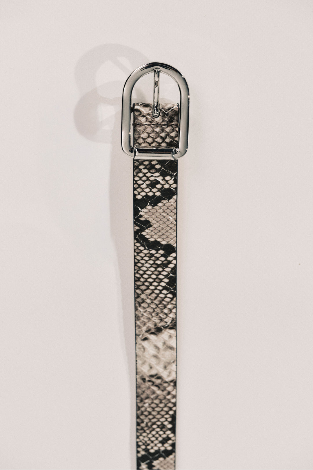 Close up of a ivory and beige snakeskin belt with silver hardware.