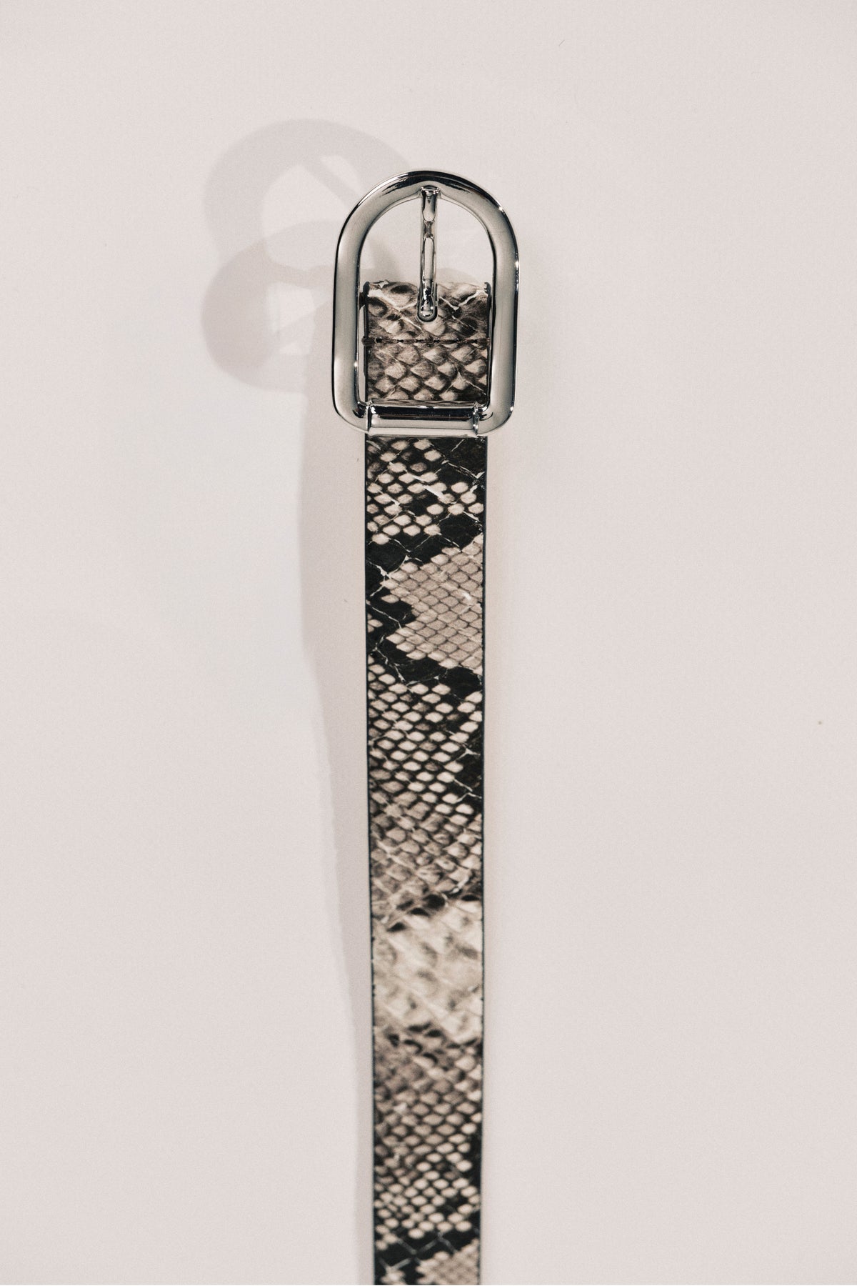 Close up of a ivory and beige snakeskin belt with silver hardware.