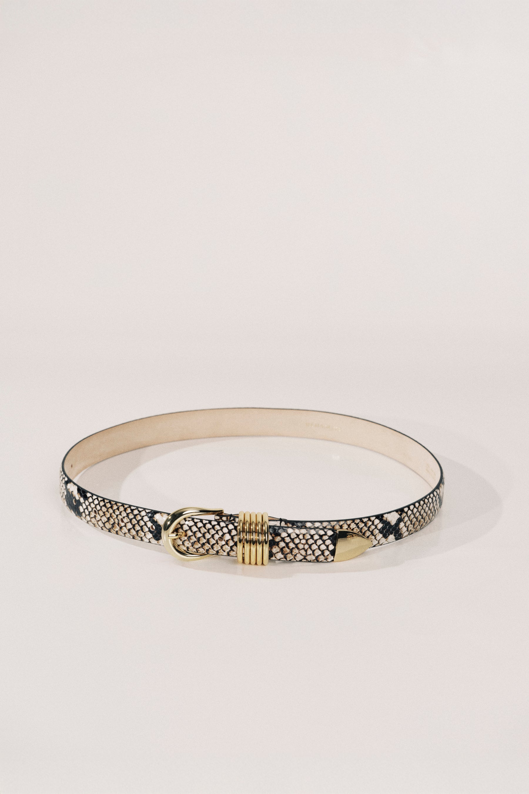Hollyhock Snake