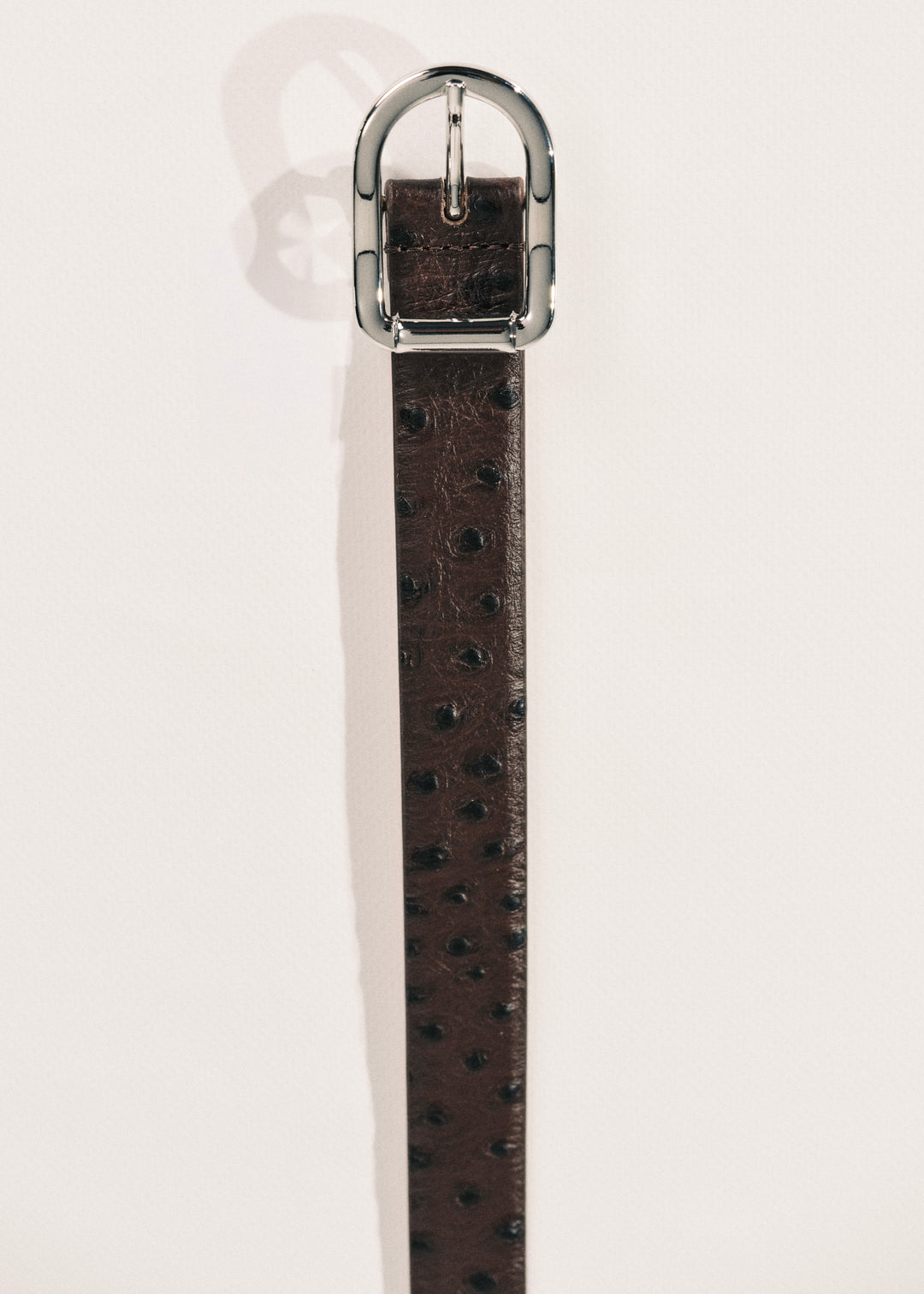 Mija Brown Ostrich Silver