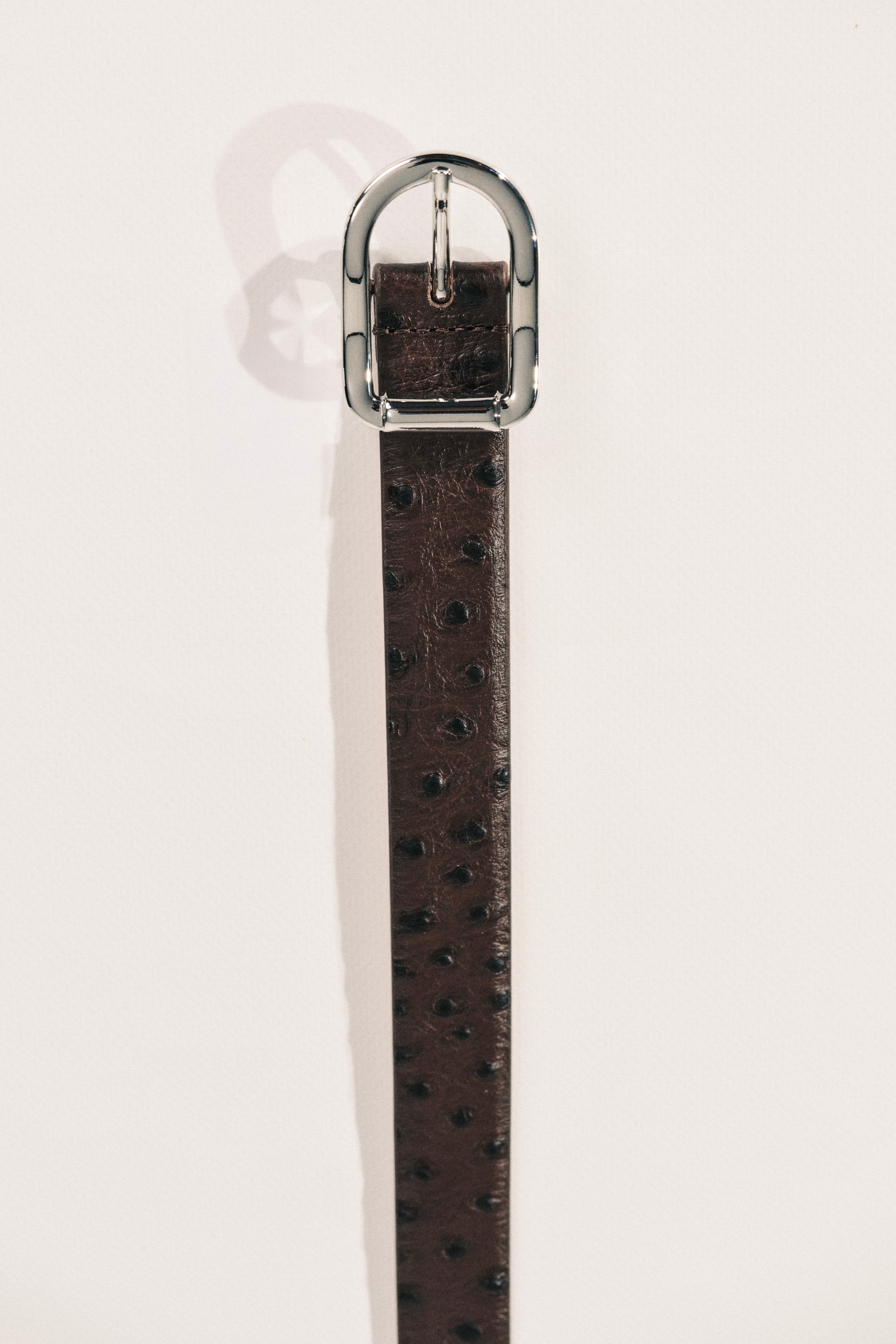 Mija Brown Ostrich Silver