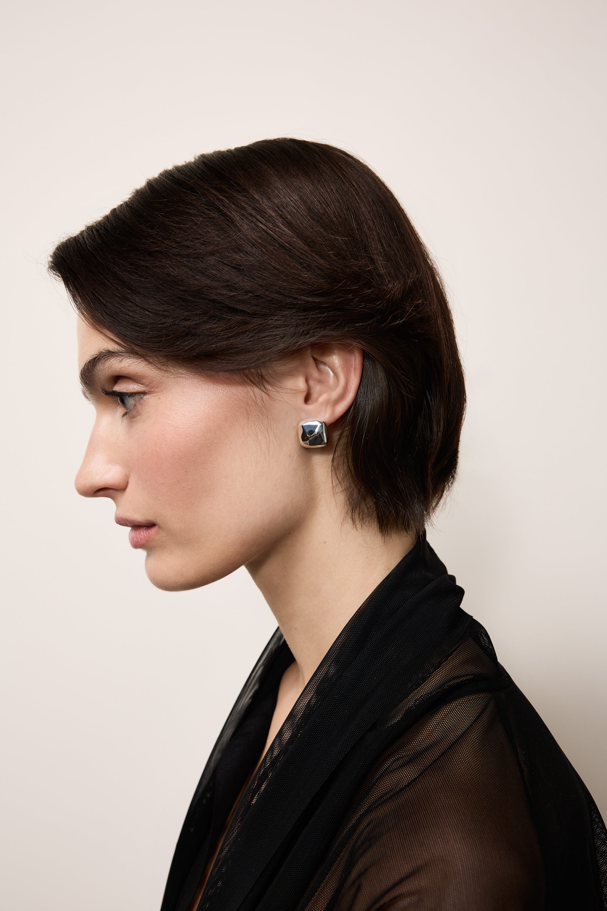 Tetra Silver Earrings Small