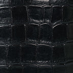 Black Alligator
