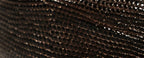 Dark Brown Lizard