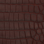 Dark Brown Alligator
