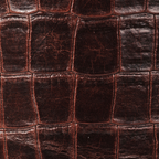 Dark Brown Alligator