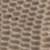Grey Lizard