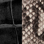 snake and croco