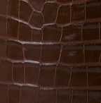 Chocolate Croco