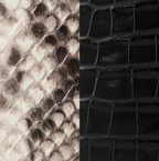Snake & Croco