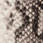 Beige Snakeskin