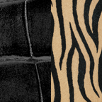 zebra and croco